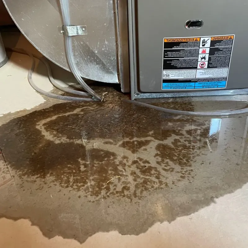 Pipe Burst and Leak Restoration in Baxter, IA