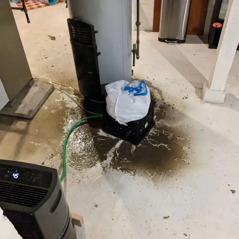 Sewage Backup Cleanup Service in Baxter, IA